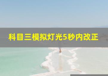 科目三模拟灯光5秒内改正