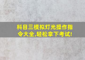 科目三模拟灯光操作指令大全,轻松拿下考试!