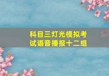 科目三灯光模拟考试语音播报十二组