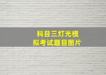 科目三灯光模拟考试题目图片