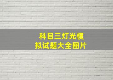 科目三灯光模拟试题大全图片