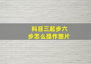 科目三起步六步怎么操作图片