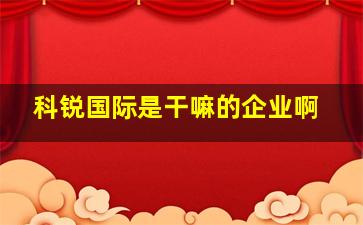 科锐国际是干嘛的企业啊