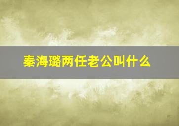 秦海璐两任老公叫什么