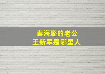 秦海璐的老公王新军是哪里人