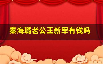 秦海璐老公王新军有钱吗