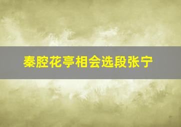 秦腔花亭相会选段张宁