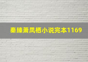 秦臻萧凤栖小说完本1169