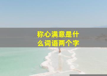 称心满意是什么词语两个字