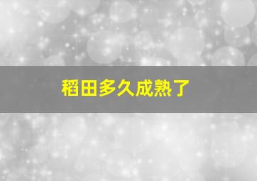 稻田多久成熟了