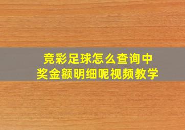 竞彩足球怎么查询中奖金额明细呢视频教学