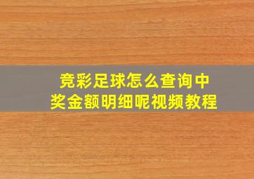 竞彩足球怎么查询中奖金额明细呢视频教程