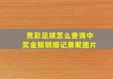 竞彩足球怎么查询中奖金额明细记录呢图片