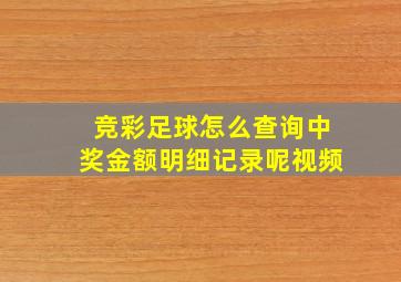 竞彩足球怎么查询中奖金额明细记录呢视频