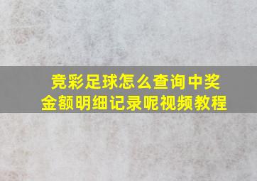 竞彩足球怎么查询中奖金额明细记录呢视频教程