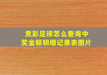 竞彩足球怎么查询中奖金额明细记录表图片