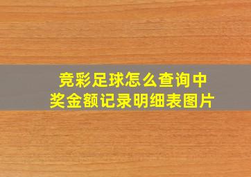 竞彩足球怎么查询中奖金额记录明细表图片