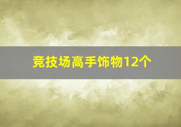 竞技场高手饰物12个