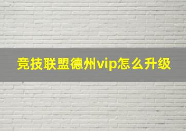 竞技联盟德州vip怎么升级