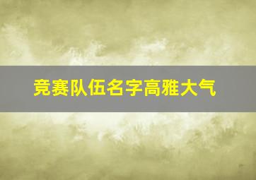 竞赛队伍名字高雅大气