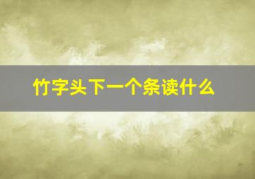 竹字头下一个条读什么