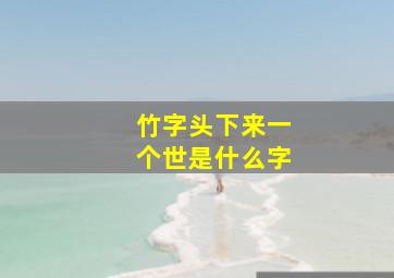 竹字头下来一个世是什么字