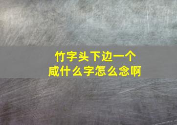 竹字头下边一个咸什么字怎么念啊