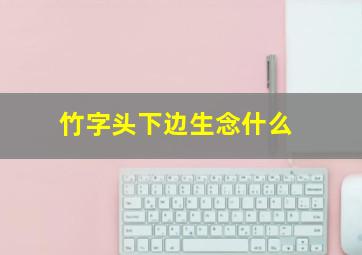 竹字头下边生念什么