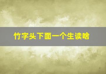 竹字头下面一个生读啥