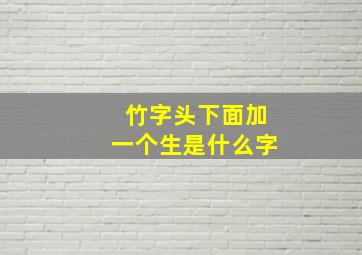 竹字头下面加一个生是什么字