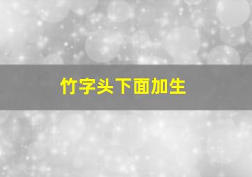 竹字头下面加生