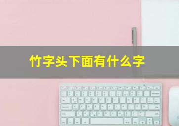 竹字头下面有什么字