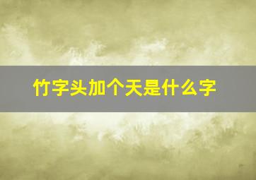 竹字头加个天是什么字