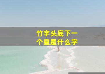 竹字头底下一个皇是什么字