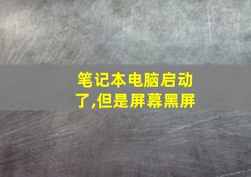 笔记本电脑启动了,但是屏幕黑屏