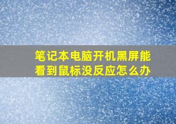 笔记本电脑开机黑屏能看到鼠标没反应怎么办