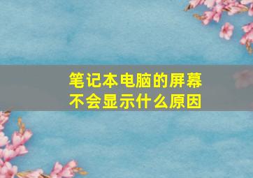 笔记本电脑的屏幕不会显示什么原因