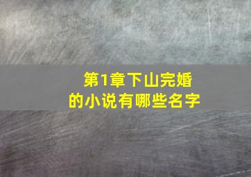 第1章下山完婚的小说有哪些名字