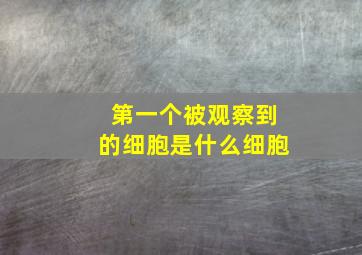 第一个被观察到的细胞是什么细胞