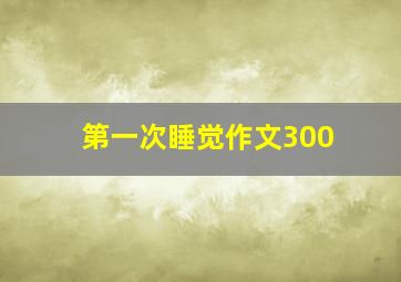 第一次睡觉作文300