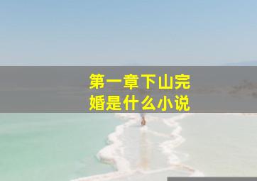 第一章下山完婚是什么小说