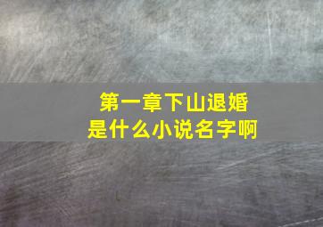 第一章下山退婚是什么小说名字啊