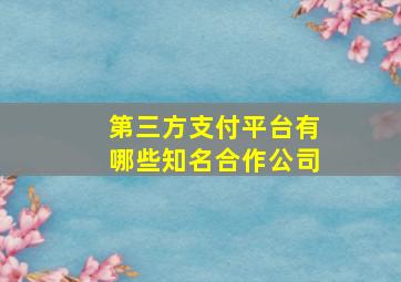 第三方支付平台有哪些知名合作公司