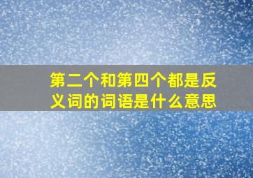 第二个和第四个都是反义词的词语是什么意思