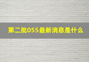 第二批055最新消息是什么