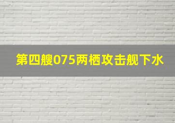 第四艘075两栖攻击舰下水