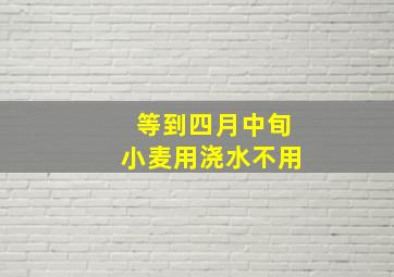 等到四月中旬小麦用浇水不用