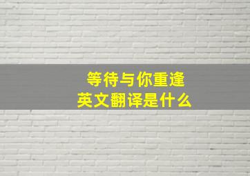 等待与你重逢英文翻译是什么