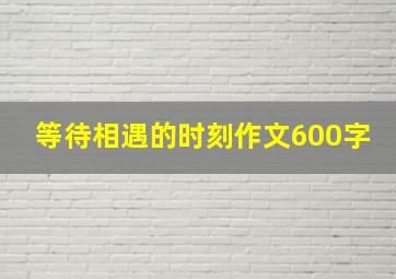 等待相遇的时刻作文600字