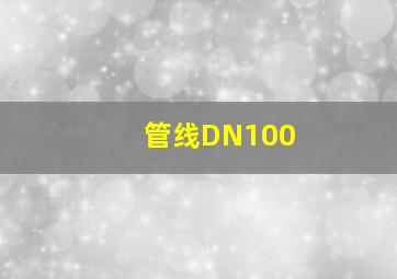 管线DN100